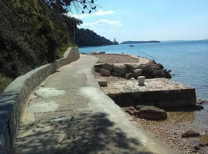 Appartamento Mlacovic *